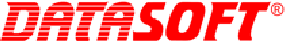 logo-datasoft@2x